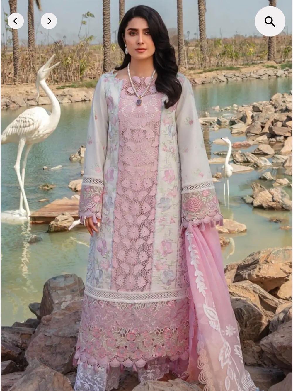 Elegant Pink Lace & Embroidered Women’s Dress with Sheer Overlay